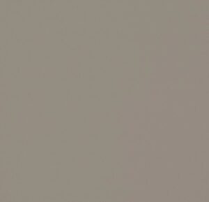4011 Taupe. NCS S5005-Y20R