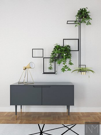 small black cupboard with plants hanging on wall