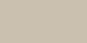 NCS 2305-Y22R SOOTHING BEIGE 12075